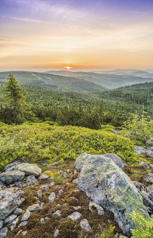 lusen  sunrise  landscape