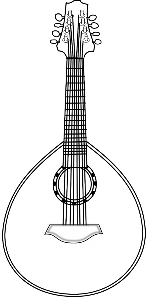 lute instrument string