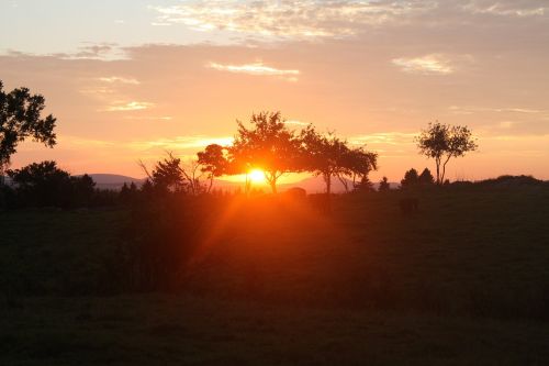 lying sun landscape nature