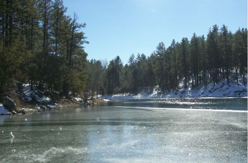 lynx lake winter snow