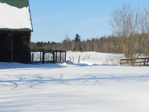 My Yard In Winter (2)