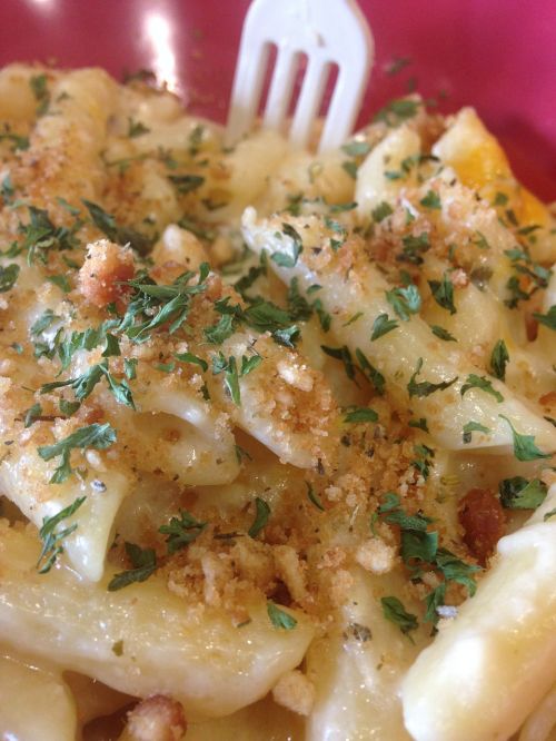 mac and cheese pasta food