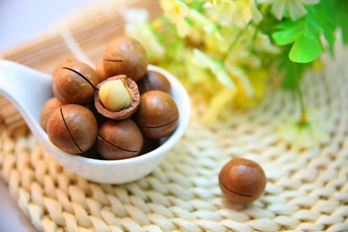 macadamia nuts nut protein
