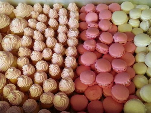 macaron sweets pastry