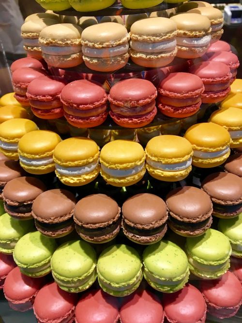 macaron french eat