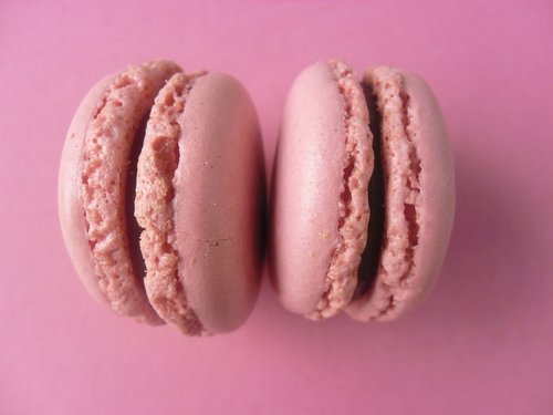 macarons  cookies  pink