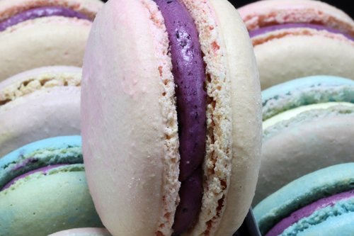 macaroon  confectionery  dessert