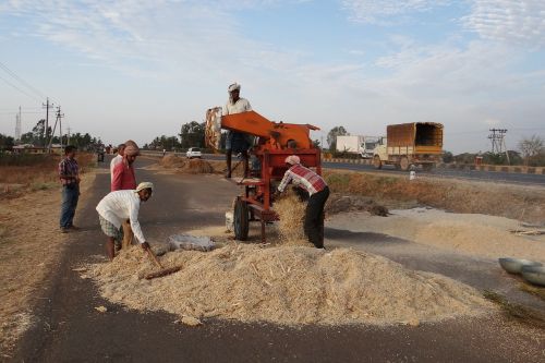 machine winnowing sorghum jowar