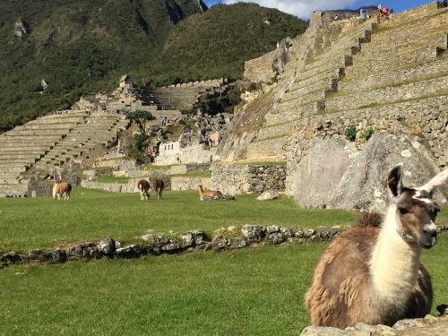 machu pichu peru hiking