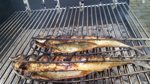 mackerel fish barbecue