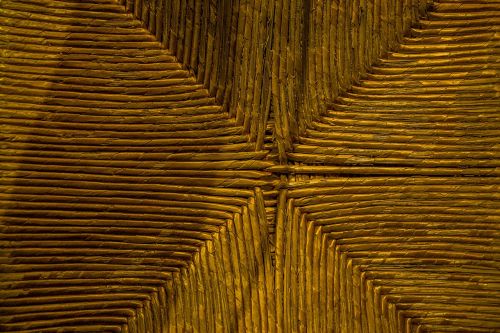 macro texture wood