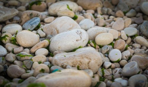 macro nature rocks