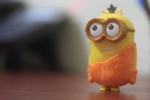 macro photography minion