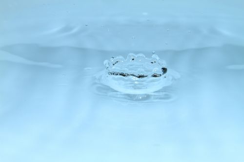 macro drop water