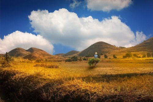 madagascar dune valley