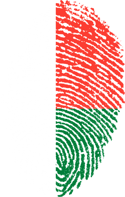 madagascar flag fingerprint