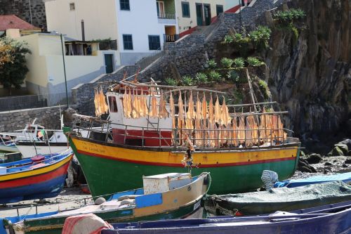 madeira boat fishing