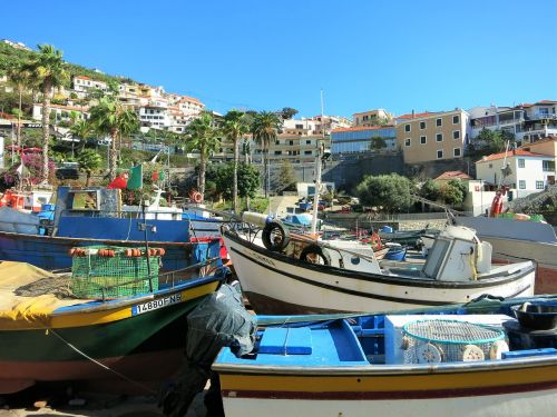 madeira fishing port boats