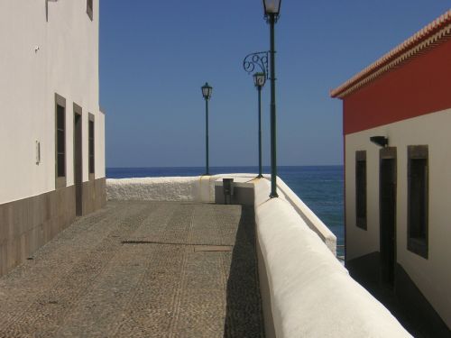 madeira market lonely