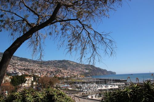 madeira funchal portugal