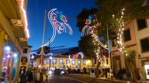 madeira funchal christmas