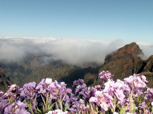 madeira mountain summit