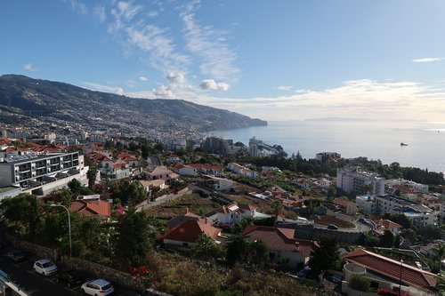 madeira  travel  landscape