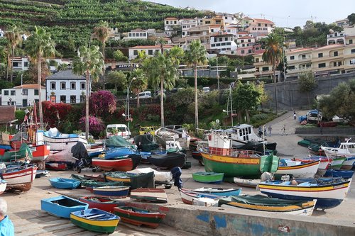 madeira  boat  town