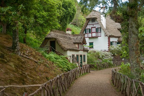 madeira  house in the forest  thatch