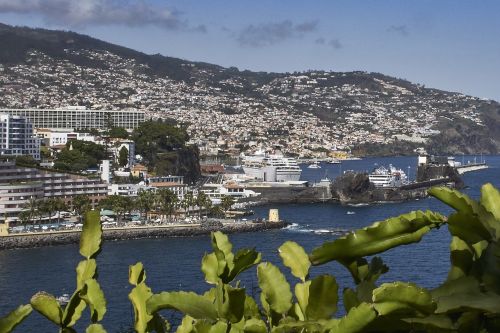 madeira funchal island