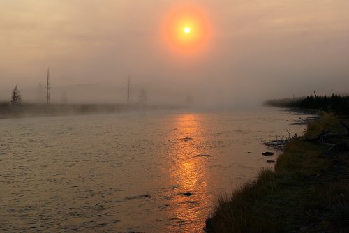 madison river sunrise  yellowstone  national