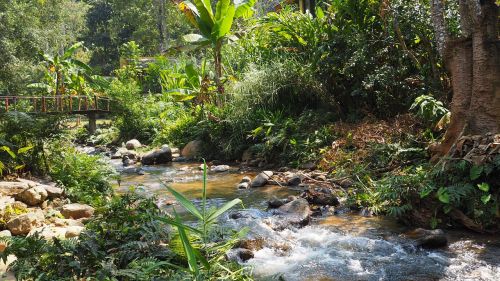 maekampong chiang mai thailand view