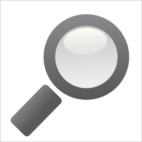 magnifying glass spy search