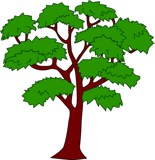 mahogany plant tree