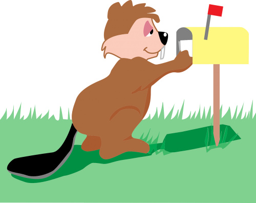 mail box beaver