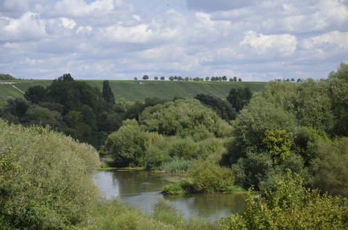 main  river  trees