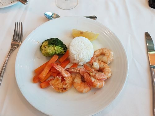 main course south pacific ship travel