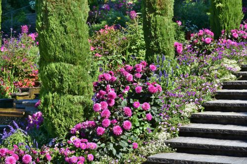 mainau island lake constance