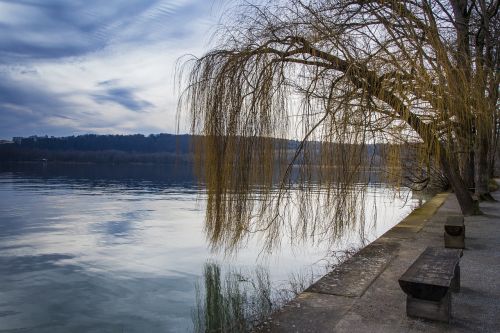 mainau island winter cold