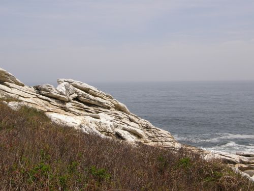 maine coast ocean