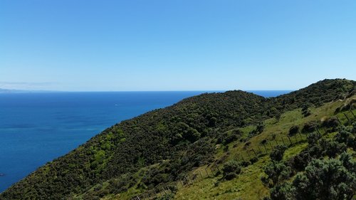 makara  wellington  sea