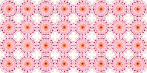 make-a-wish  banner  fractals