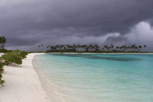 Maldive