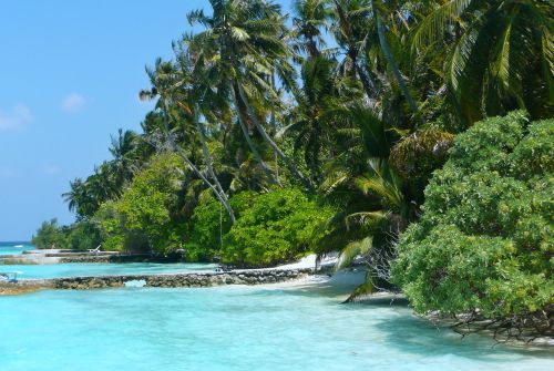maldives sea sea ​​view