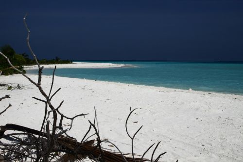 maldives water sea