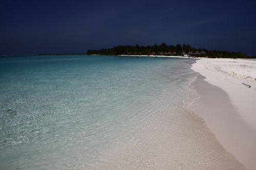 maldives beach water