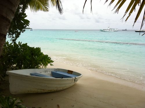 maldives landscape beach