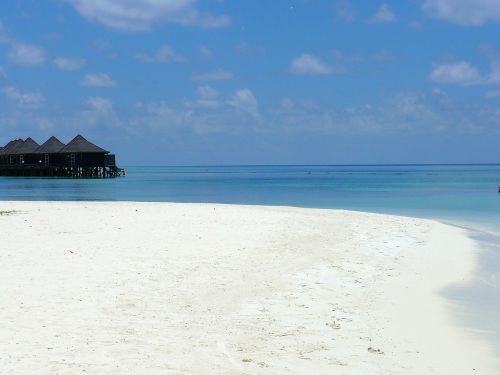 maldives beach ocean