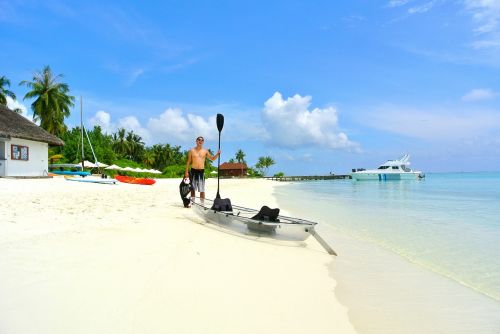 maldives coconut tree sea