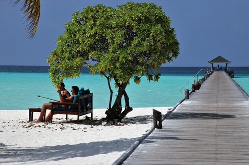 maldives  paradise  beach